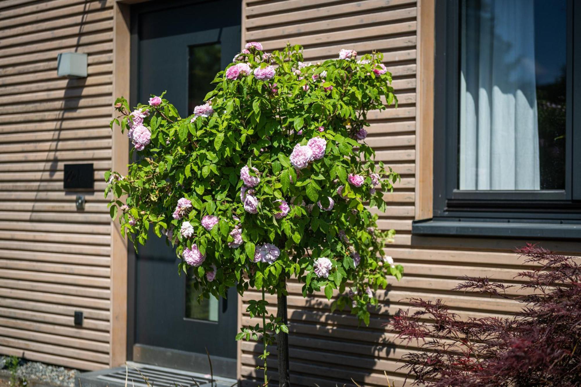 Deine Genuss-Auszeit Villa Asendorf Екстериор снимка