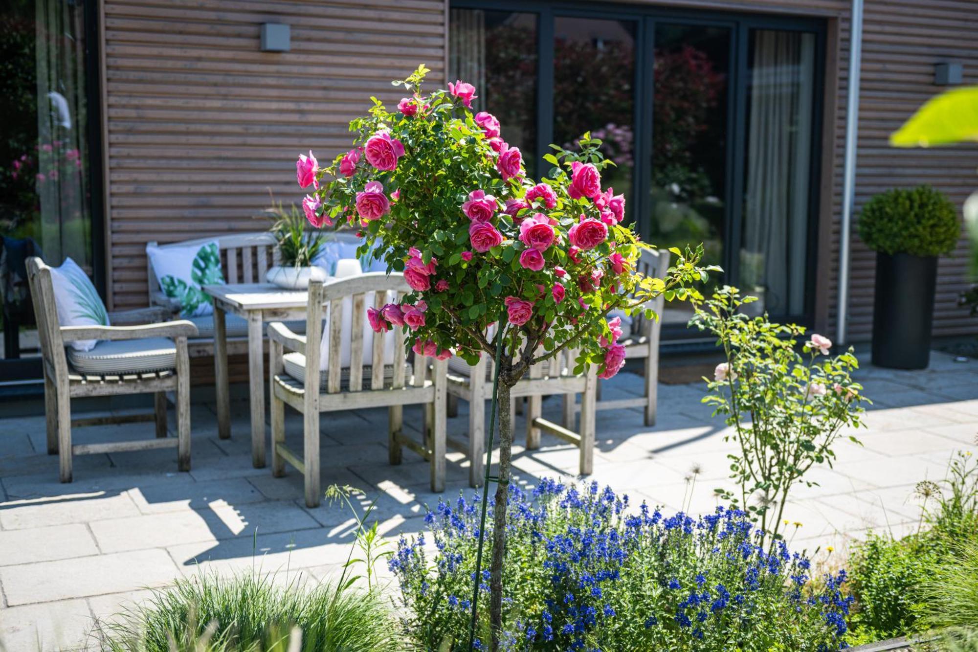 Deine Genuss-Auszeit Villa Asendorf Екстериор снимка
